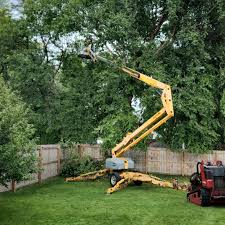 Best Tree Trimming and Pruning  in Sellersville, PA